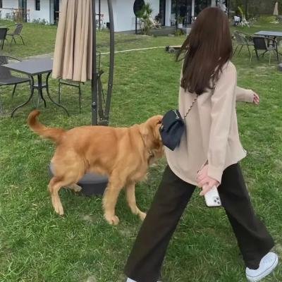 马达加斯加圣诞特辑